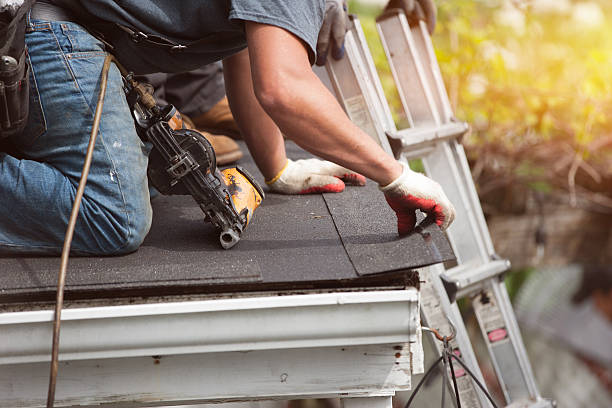 Best Roof Gutter Cleaning  in Pearl River, LA